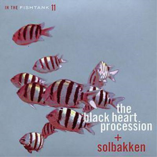 The black heart procession - the,