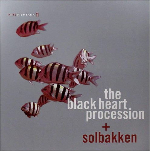 The black heart procession - the,