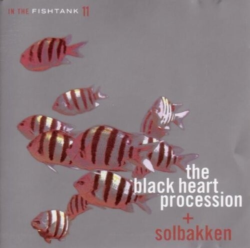 The solbakken black heart - the,